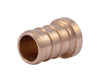 SharkBite 1/2 in. Barb X 1/2 in. D Barb Brass Plug