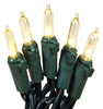 Celebrations LED Mini Warm White 50 ct String Christmas Lights 12.25 ft. (Pack of 12)