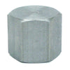 Anvil Merchant 3/8 in. FNPT in. Galvanized Steel Cap