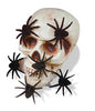 Fun World Mini Hairy Spiders Halloween Decoration 5 in. H x 7.5 in. W 6 pk (Pack of 12)