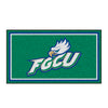 Florida Gulf Coast University 3ft. x 5ft. Plush Area Rug