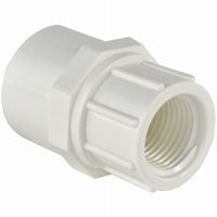 Charlotte Pipe Schedule 40 3/4 in. Slip X 1 in. D FPT PVC Pipe Adapter 1 pk