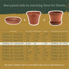 Bloem TerraTray 1.7 in. H X 10 in. D Resin Plant Saucer Terracotta Clay