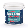 Drylok Fast Plug Hydraulic & Anchoring Cement (Pack of 2)