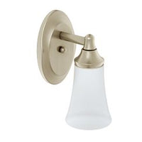 BRUSHED NICKEL ONE GLOBE BATH LIGHT