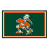 University of Miami Sebastian the Ibis 4ft. x 6ft. Plush Area Rug