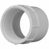 Charlotte Pipe Schedule 40 1 in. Slip x 1 in. Dia. FPT PVC Pipe Adapter (Pack of 25)