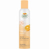 Citrus Magic Fresh Orange Scent Air Freshener Spray 3 oz. Aerosol (Pack of 6)