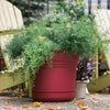 Bloem 12.75 in. H X 14 in. W Plastic Saturn Planter Burnt Red