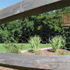 Garden Craft 18 in. H X 50 ft. L Galvanized Steel Poultry Netting 1 in.