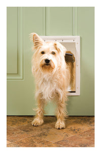 Pet Safe Ppa00-10959 10-5/8 X 15-1/8 Medium White Plastic Pet Door