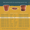 Bloem TerraPot 7 in. H X 8 in. D Resin Planter Terracotta Clay