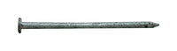 Pro-Fit 4 in. Common Hot-Dipped Galvanized Steel Nail Flat Head 5 lb