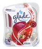 Glade 13074 Apple Cinnamon Glade® PlugIns® Scented Oil Refills 2 Count                                                                                