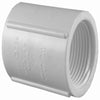 Charlotte Pipe Schedule 40 3/4 in. FPT x 3/4 in. Dia. FPT PVC Coupling (Pack of 25)