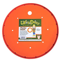 Bloem Ups-A-Daisy Orange Plastic 3/4 in. H Round Plant Insert 1 pk (Pack of 6)