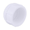 Charlotte Pipe Schedule 40 1-1/2 in. FPT PVC Cap 1 pk