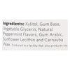 XyliChew Chewing Gum - Sugar Free Peppermint - 60 Piece Jar - Case of 4