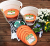 Bloem Ups-A-Daisy Orange Plastic 3/4 in. H Round Plant Insert 1 pk (Pack of 6)