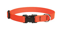 Lupine Pet Basic Solids Blaze Orange Blaze Orange Nylon Dog Adjustable Collar