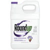 Roundup Weed and Grass Killer Concentrate 1 gal.