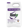 Roundup Weed and Grass Killer Concentrate 1 gal.