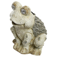 Alpine Corporation Qwr678slr 11 Solar Frog Statue (Pack of 2)