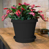 Bloem Terra 2 in. H X 11.25 in. D Plastic Plant Saucer Black