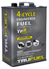 TruFuel Ethanol-Free 4-Cycle Engineered Fuel 110 oz (Pack of 4)