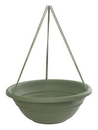 Bloem  17 in. Dia. Resin  Hanging Basket  Living Green