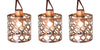 Living Accents  LED G14  Moroccan  Light Set  Clear  13-1/2 ft. 10 lights