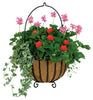 Gardman 16 in. H X 13 in. D Steel Hanging Basket Black