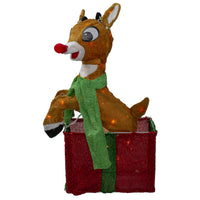 24" Rudolph 3d Prelit Yard Décor Rudolph In Present