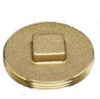 2-1/2-Inch Brass Raised Head Plug