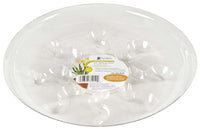 Gardeners Blue Ribbon  10 in. W Plastic  Plant Saucer  Clear