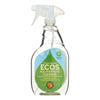 Earth Friendly Parsley Plus All Surface Cleaner (Case of 12)