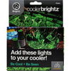 Brightz  CoolerBrightz  cooler lights  LED Cooler Lights  ABS Plastics/Electronics  1 pk