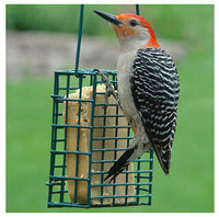 Audubon Wild Bird Steel Suet Bird Feeder