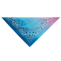 Aria Pink/Blue Paisley Bandana