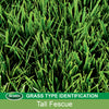 Scotts Turf Builder Tall Fescue Grass Sun or Shade Fertilizer/Seed/Soil Improver 2.4 lb