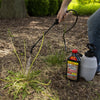 Spectracide Extended Control Weed & Grass Killer Concentrate 40 oz.