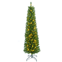 Celebrations  6 ft. Pencil  Incandescent  100 count Christmas Tree