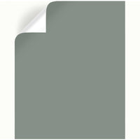 Magnolia Home by Joanna Gaines Silverado Sage Peel & Stick Color Sample (Pack of 25)