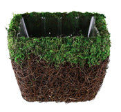 Syndicate Sales Inc 1230-12-070 6 X 6 Square Preserved Moss Maya Planter