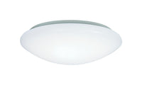 Metalux  12.7 in. H x 4.4 in. W x 12.3 in. L Ceiling Light