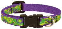 Lupine Collars & Leads 98534 8"-12" Big Easy Dog Collar