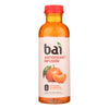 BaiÂ® Antioxidant Beverage - Case of 12 - 18 FZ