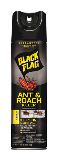 Black Flag Aerosol Ant and Roach Killer 17.5 oz. (Pack of 12)