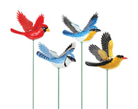 Ns Song Bird Stke 7" Ww (Pack of 24)