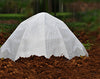 Gardeneer Hck-50 11 X 9 Gardn Hot Cap